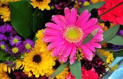 Read more about the article Abundant Love Flower Communion